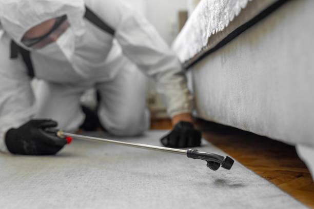 Professional Bed Bug Control technician working in Marin City, CA