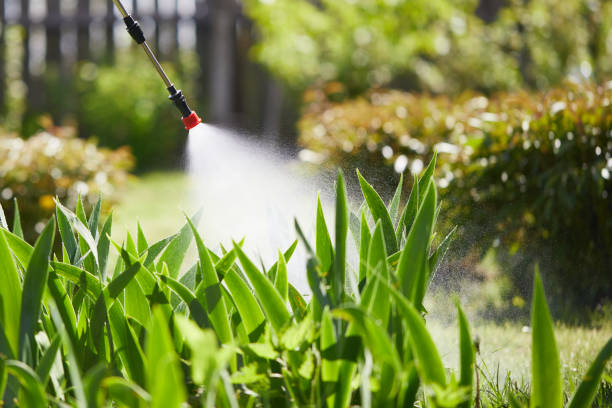 24/7 Emergency Bed Bug Control experts in Marin City, CA