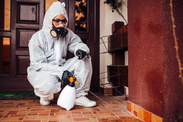 Reliable Bed Bug Control contractor in Marin City, CA by Nex Pest Control